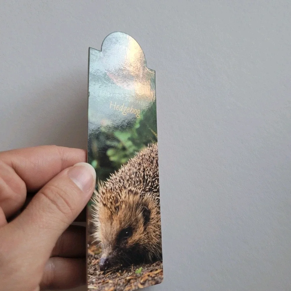 Cardmarks Hedgehog Nature Animal Info Magnetic Magnet UK Company If 2408 Y2k 00s